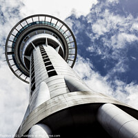 Buy canvas prints of Sky Tower, Auckland  by Paul Tuckley