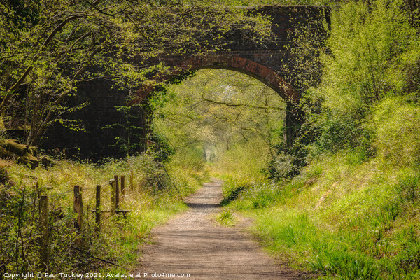 Footpath Along the Old Branch Line Picture Board by Paul Tuckley