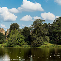 Buy canvas prints of Sherborne Castle  by Paul Tuckley