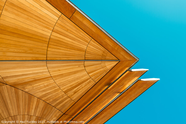 Abstract view of roof structure against blue sky.  Picture Board by Paul Tuckley