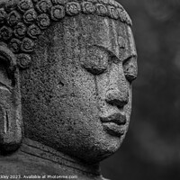 Buy canvas prints of Buddha by Paul Tuckley
