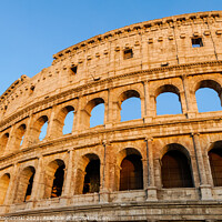 Buy canvas prints of Colosseum in Rome, Italy by Marcin Rogozinski