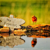 Buy canvas prints of No Fishing for the Robin by Kevin Warburton