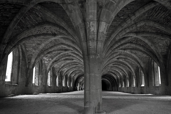 Fountains Abbey: A Timeless Treasure Picture Board by Ron Ella