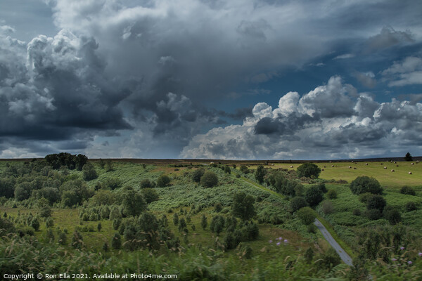 Stormy Roman Road Through Yorkshire Moors Picture Board by Ron Ella