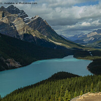 Buy canvas prints of Milky Waters of Peyto Lake by Ron Ella