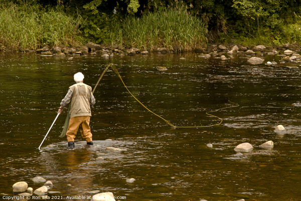 Serene Fly Fishing at Bolton Abbey Picture Board by Ron Ella