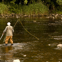 Buy canvas prints of Serene Fly Fishing at Bolton Abbey by Ron Ella