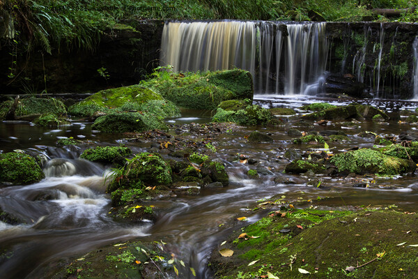 Enchanting Waterfall at Hayburn Wyke Picture Board by Ron Ella