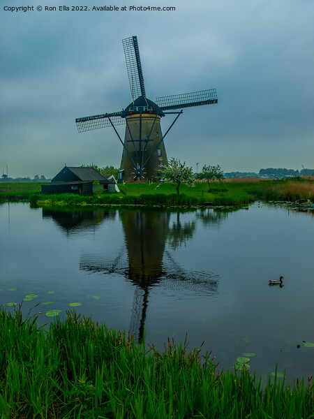 Serene Beauty of Kinderdijk Picture Board by Ron Ella