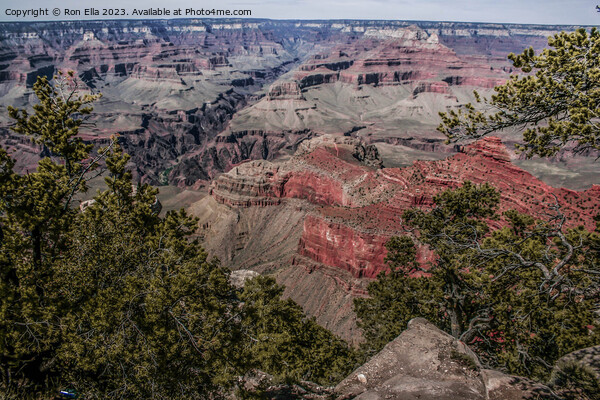Majestic Grand Canyon Picture Board by Ron Ella