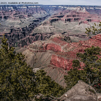 Buy canvas prints of Majestic Grand Canyon by Ron Ella