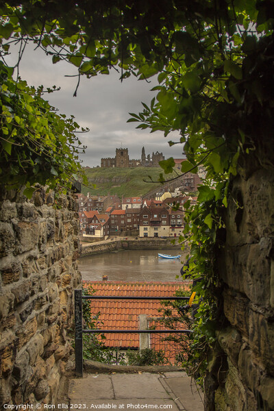 Whitby's Enchanting Passageway Picture Board by Ron Ella