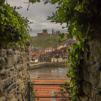 Buy canvas prints of Whitby's Enchanting Passageway by Ron Ella