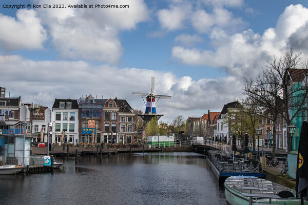 Tranquil Leiden Harbour Scene Picture Board by Ron Ella