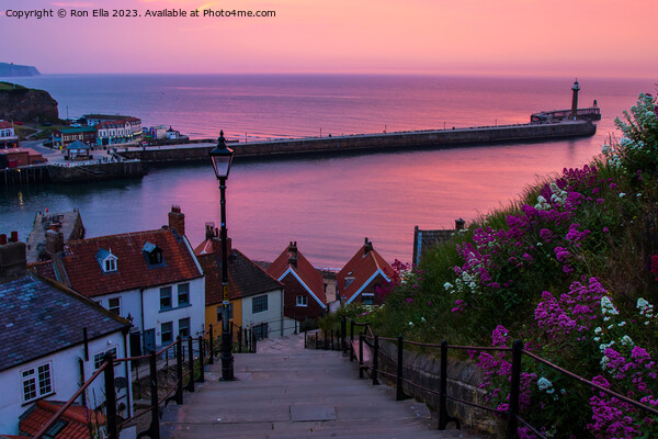 Whitby by the sea Picture Board by Ron Ella