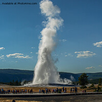 Buy canvas prints of Old Faithful  by Ron Ella