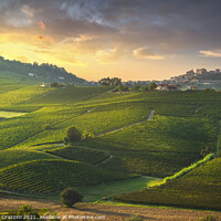 Buy canvas prints of Langhe vineyards, La Morra, Italy by Stefano Orazzini