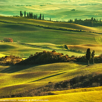 Buy canvas prints of Tuscany rolling hills landscape by Stefano Orazzini