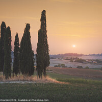 Buy canvas prints of Last Light of the Day in Maremma. Tuscany. by Stefano Orazzini