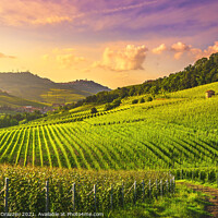 Buy canvas prints of Barolo Vineyards at Sunset. Langhe, Italy by Stefano Orazzini