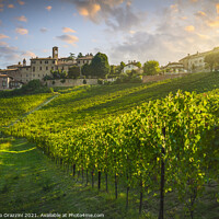 Buy canvas prints of Neive Vineyards Sunrise in Langhe by Stefano Orazzini