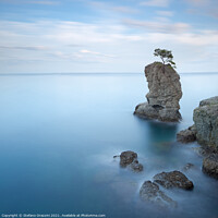 Buy canvas prints of Pine Tree Rock in Portofino by Stefano Orazzini