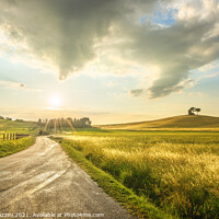 Buy canvas prints of Countryside Road in Alta Maremma, Tuscany by Stefano Orazzini