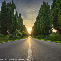 Buy canvas prints of Bolgheri Boulevard and the Sun in the Center by Stefano Orazzini