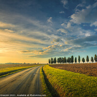 Buy canvas prints of Rural Road and Cypresses. Tuscany by Stefano Orazzini