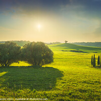 Buy canvas prints of Rolling hills and trees. Tuscany by Stefano Orazzini
