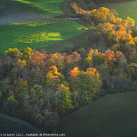 Buy canvas prints of Heart shaped woods in autumn. Tuscany by Stefano Orazzini