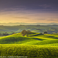 Buy canvas prints of Two Trees, springtime in Tuscany, Pienza, Val d'Orcia by Stefano Orazzini
