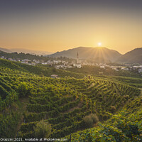 Buy canvas prints of Prosecco Hills, vineyards and Guia village at dawn. by Stefano Orazzini