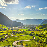 Buy canvas prints of Vineyards view in Bolzano. Sudtirol, Italy by Stefano Orazzini