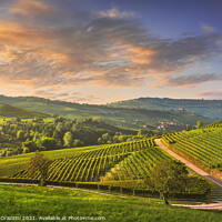 Buy canvas prints of Langhe vineyards view, Barolo, Piedmont, Italy by Stefano Orazzini