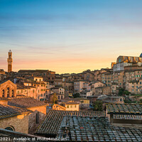 Buy canvas prints of Siena panoramic skyline at sunset. Mangia tower and Duomo by Stefano Orazzini