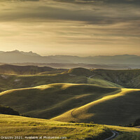 Buy canvas prints of Tuscany, rolling hills at sunset. Volterra by Stefano Orazzini