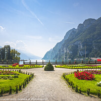 Buy canvas prints of Gardens on the lake. Riva del Garda, Italy by Stefano Orazzini
