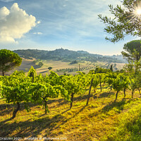 Buy canvas prints of Casale Marittimo vineyards and village, landscape in Maremma. by Stefano Orazzini