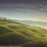 Buy canvas prints of Volterra foggy landscape, trees, rolling hills and green fields  by Stefano Orazzini