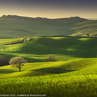 Buy canvas prints of Springtime in Tuscany, rolling hills and trees. Pienza, Italy by Stefano Orazzini