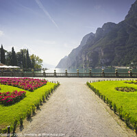 Buy canvas prints of Gardens on the lake. Riva del Garda, Italy by Stefano Orazzini