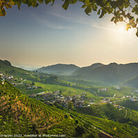 Buy canvas prints of Prosecco Hills, vineyards panorama in the morning. Unesco Site.  by Stefano Orazzini
