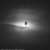 Buy canvas prints of Alone in the Fog by Stefano Orazzini