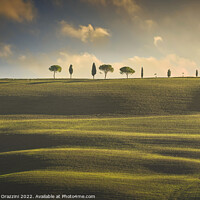 Buy canvas prints of Rolling hills, cypress and pine trees. Tuscany, Italy by Stefano Orazzini