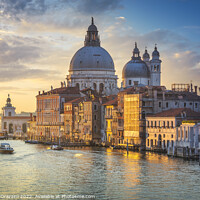 Buy canvas prints of Venice grand canal, Santa Maria della Salute church landmark at  by Stefano Orazzini