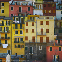 Buy canvas prints of Manarola village, colorful pattern of houses. Cinque Terre by Stefano Orazzini