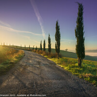 Buy canvas prints of Volterra landscape, tree-lined road at sunrise by Stefano Orazzini