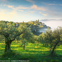 Buy canvas prints of Trevi picturesque village and olive trees in a foggy morning. by Stefano Orazzini